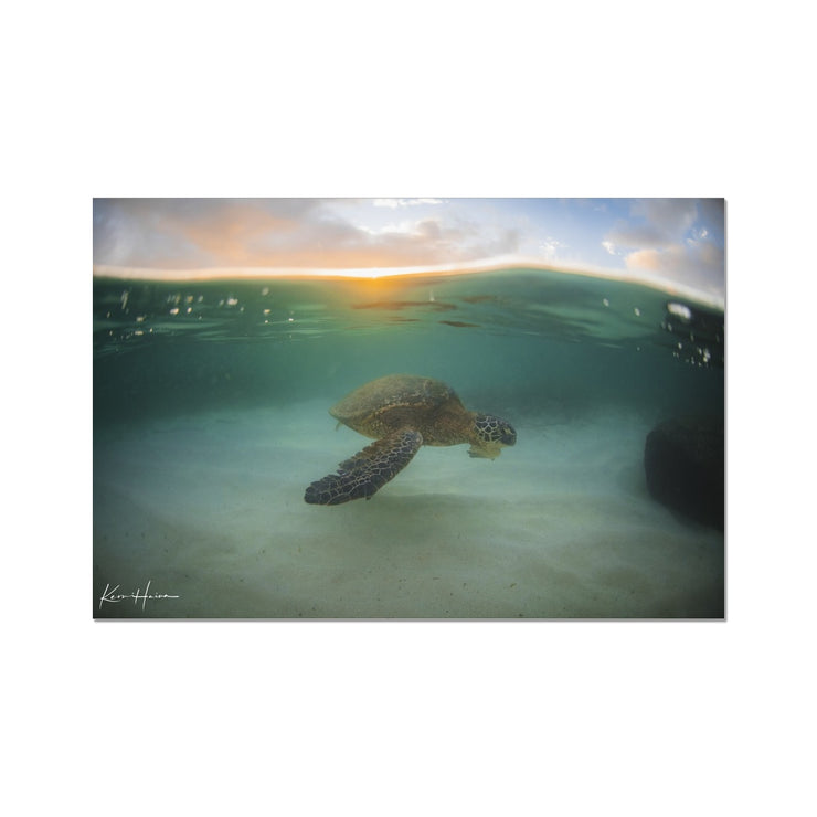 Honu